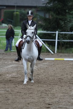 Bild 365 - WBO-Turnier am 18.9.11